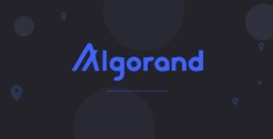 algo币吞吐量多少