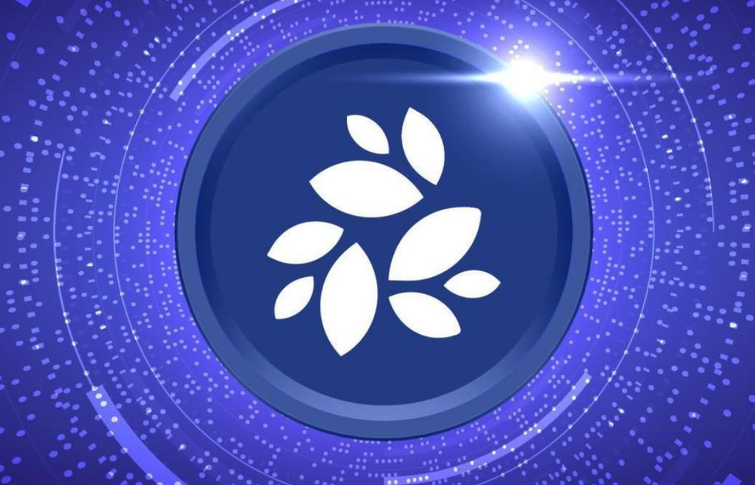 nkn币2024年能涨多少