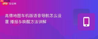 高德地图车机版语音导航怎么设置 播报与唤醒方法详解