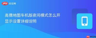 高德地图车机版夜间模式怎么开 显示设置详细说明