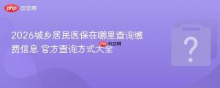 2026城乡居民医保在哪里查询缴费信息 官方查询方式大全