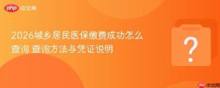 2026城乡居民医保缴费成功怎么查询 查询方法与凭证说明
