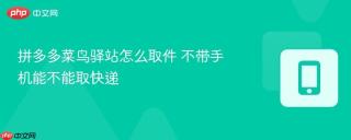 拼多多菜鸟驿站怎么取件 不带手机能不能取快递
