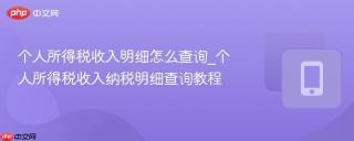 个人所得税收入明细怎么查询_个人所得税收入纳税明细查询教程
