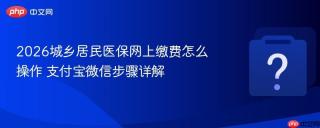 2026城乡居民医保网上缴费怎么操作 支付宝微信步骤详解