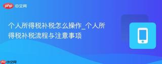 个人所得税补税怎么操作_个人所得税补税流程与注意事项