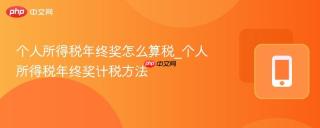 个人所得税年终奖怎么算税_个人所得税年终奖计税方法