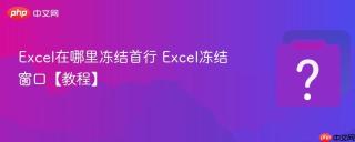 excel在哪里冻结首行 excel冻结窗口【教程】