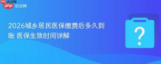 2026城乡居民医保缴费后多久到账 医保生效时间详解