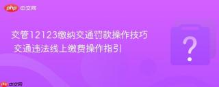 交管12123缴纳交通罚款操作技巧 交通违法线上缴费操作指引