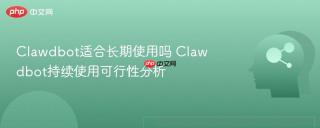 Clawdbot适合长期使用吗 Clawdbot持续使用可行性分析