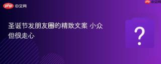 圣诞节发朋友圈的精致文案 小众但很走心
