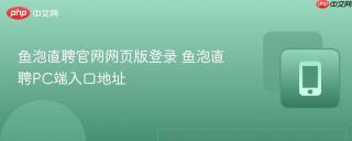 鱼泡直聘官网网页版登录 鱼泡直聘PC端入口地址