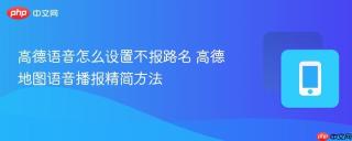 高德语音怎么设置不报路名 高德地图语音播报精简方法