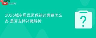 2026城乡居民医保错过缴费怎么办 是否支持补缴解析