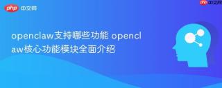 openclaw支持哪些功能 openclaw核心功能模块全面介绍