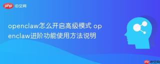 openclaw怎么开启高级模式 openclaw进阶功能使用方法说明