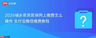 2026城乡居民医保网上缴费怎么操作 支付宝微信缴费教程