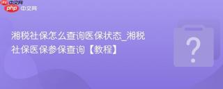 湘税社保怎么查询医保状态_湘税社保医保参保查询【教程】
