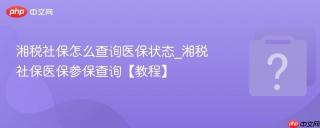 湘税社保怎么查询医保状态_湘税社保医保参保查询【教程】