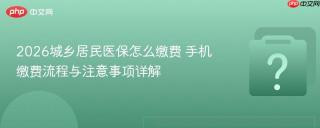 2026城乡居民医保怎么缴费 手机缴费流程与注意事项详解