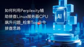 如何利用perplexity辅助排查linux服务器cpu飙升问题_检索top命令排查思路