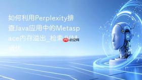 如何利用perplexity排查java应用中的metaspace内存溢出_检索jvm调优