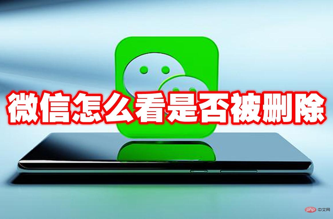 微信怎么看是否被删除