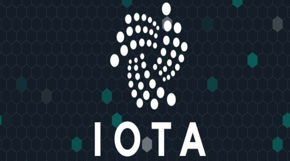What is the future of IOTA currency? Is there any long-term holding value for IOTA coins?