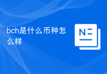 bch是什么币种怎么样