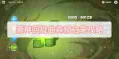 原神回旋曲森郁之笼攻略