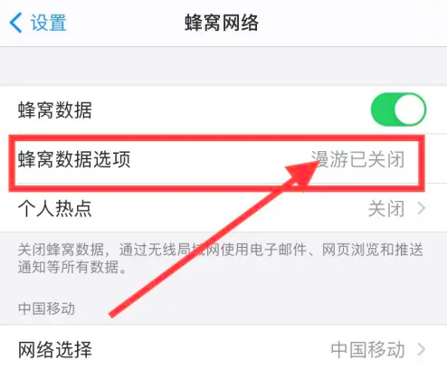 iPhone16怎么设置低数据模式_苹果手机低数据模式设置步骤介绍