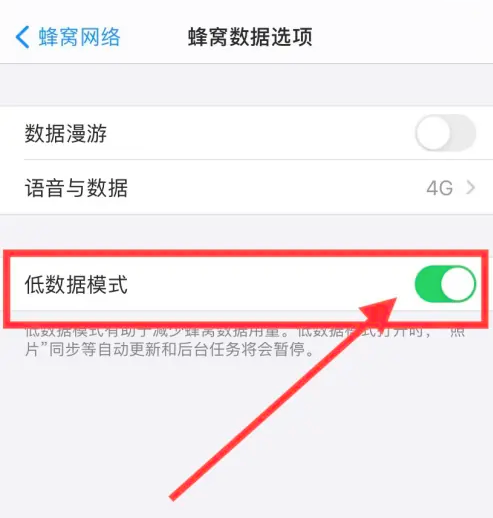 iPhone16怎么设置低数据模式_苹果手机低数据模式设置步骤介绍
