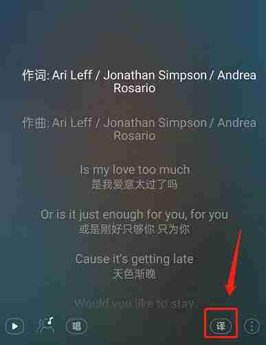 网易云音乐如何关掉歌词翻译 歌词翻译关闭方法