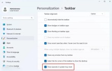 Win11系统任务栏托盘显示时间秒数的设置方法
