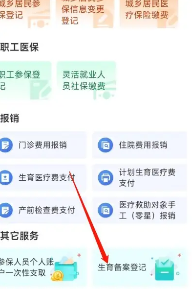 鄂汇办怎么办理生育登记 鄂汇办备案生育教程