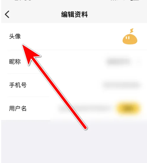 雷电云手机如何更换头像 雷电云手机更换头像方法