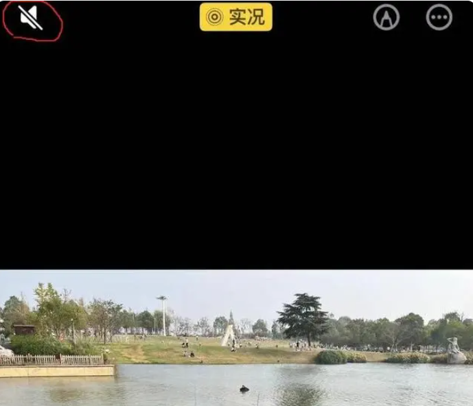微信朋友圈如何关闭实况图声音 实况图静音操作方法介绍