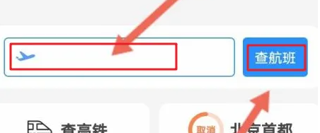 飞常准怎么查航班人数 飞常准查航班动态信息方法