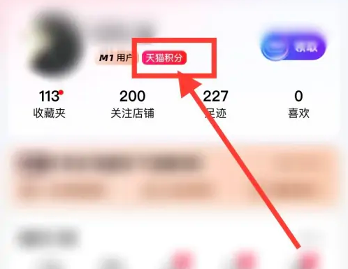 天猫app怎么查看天猫积分 天猫查看天猫积分步骤一览