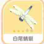 心动小镇手游白尾蜻蜓刷新在哪里 白尾蜻蜓新地点出没指南
