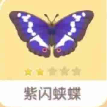 心动小镇手游紫闪蛱蝶刷新在哪里 紫闪蛱蝶出没地点大全