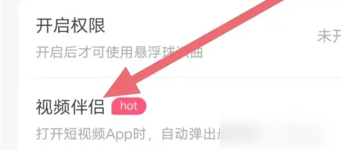 浮浮雷达怎么关闭视频伴侣 浮浮雷达设置视频伴侣方法