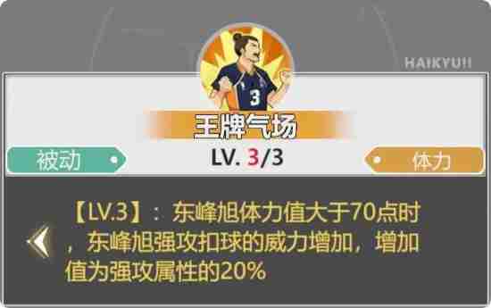 排球少年新的征程东峰旭怎么样 旭日东升 峰哥引路——独家访谈
