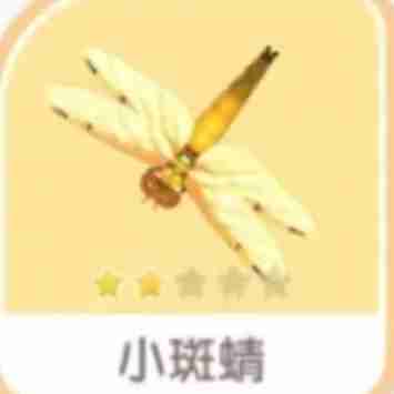心动小镇手游小斑晴刷新在哪里 小斑晴位置更新 分布详情刷新