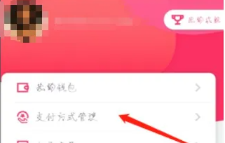 大都会地铁app怎么添加支付宝 大都会绑定支付宝方法介绍