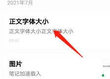 印象笔记怎么调整字体大小 具体操作方法介绍
