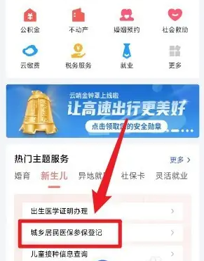 鄂汇办怎么办理新生儿医保 具体操作方法介绍