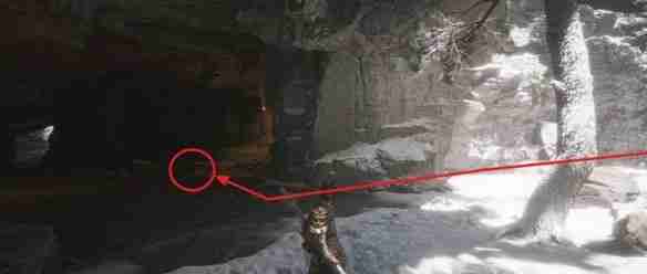 黑神话悟空第三章能获得什么葫芦 第三章:葫芦的获取与分享记