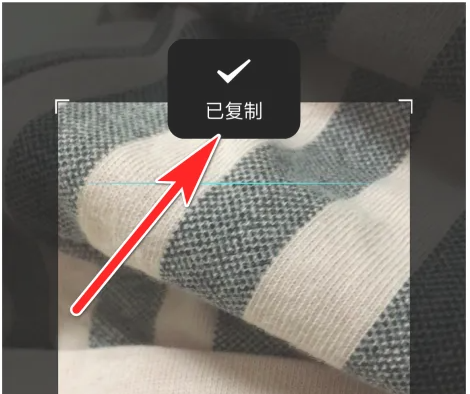 简书怎么复制文字 简书复制我的文章分享链接教程